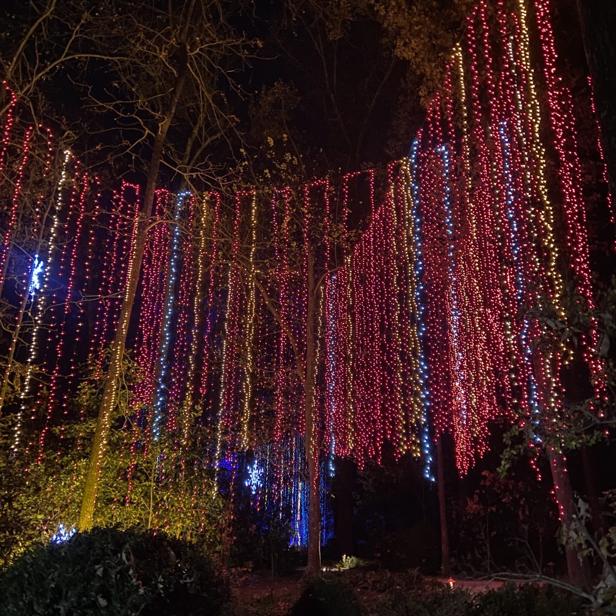 Memphis Christmas Lights 2022 Art Museum, Gardens, And Event Venue | Dixon Gallery & Gardens